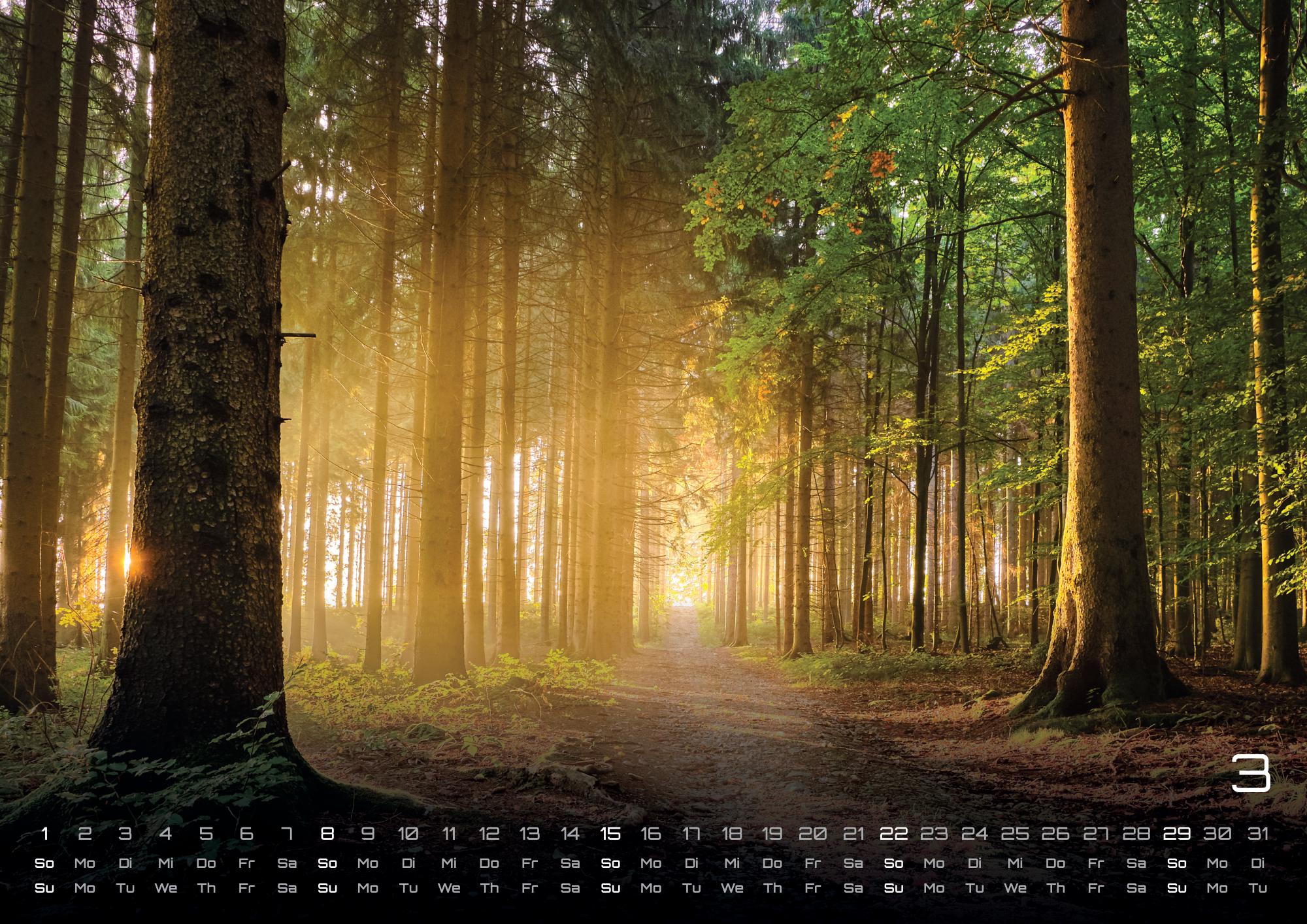 GPF-WALD26_page_4