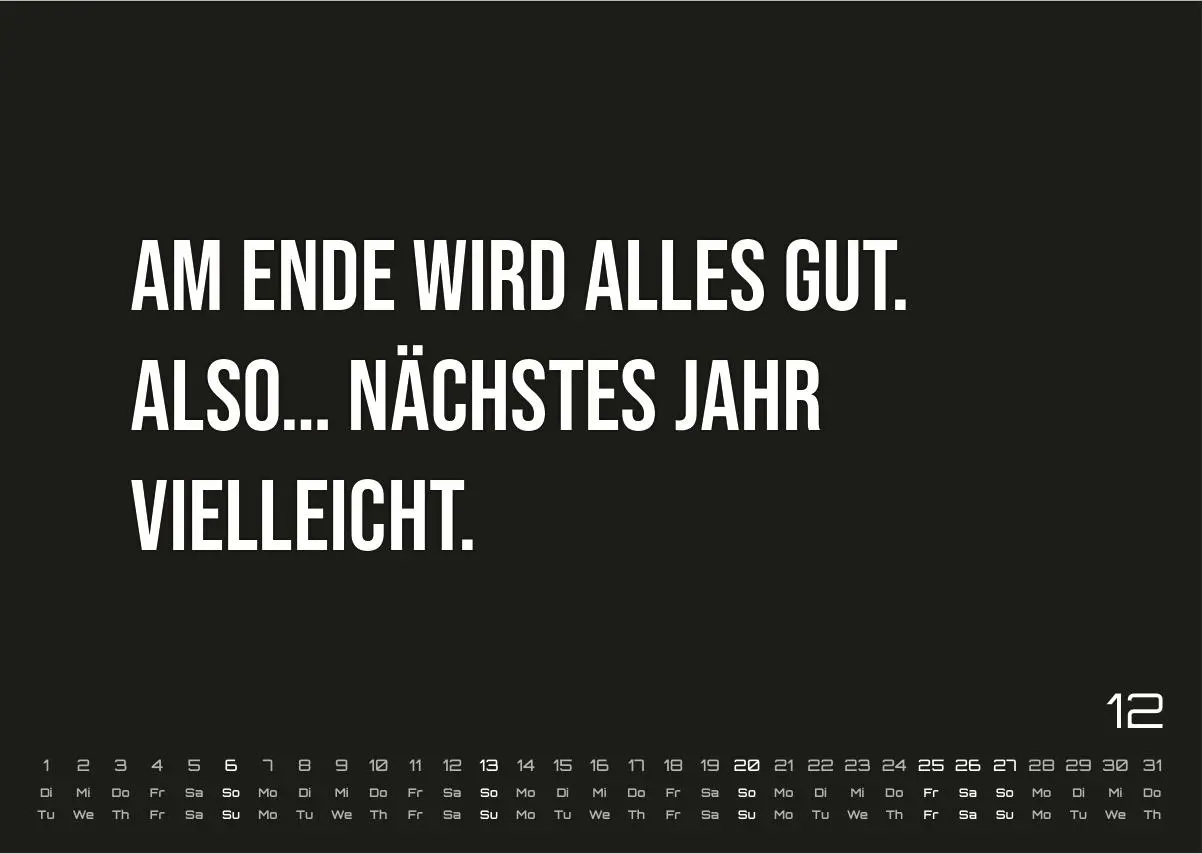 DEMOTIVATION 2026 - dein demotivierender Begleiter - Kalender DIN A3 (ca. 42 cm x 30 cm) | Demotivationskalender