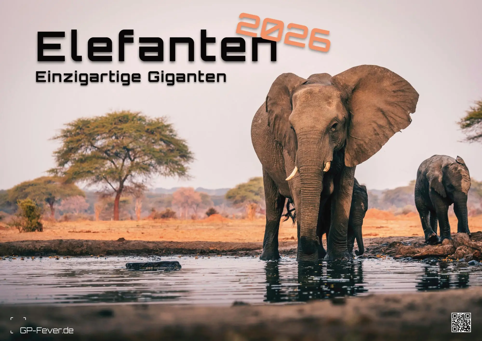 Elefanten - einzigartige Giganten - 2026 - Kalender