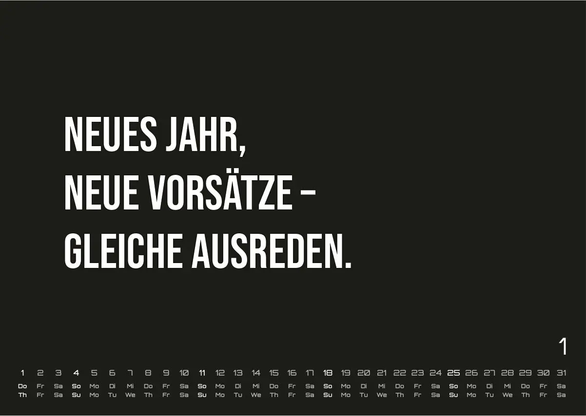 DEMOTIVATION 2026 - dein demotivierender Begleiter - Kalender DIN A3 (ca. 42 cm x 30 cm) | Demotivationskalender