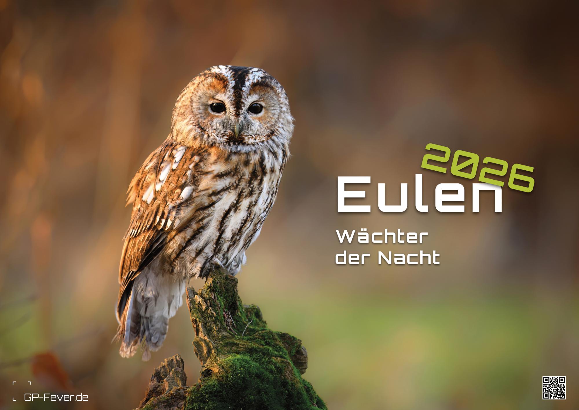 Eulen - Wächter der Nacht - 2026 - Kalender
