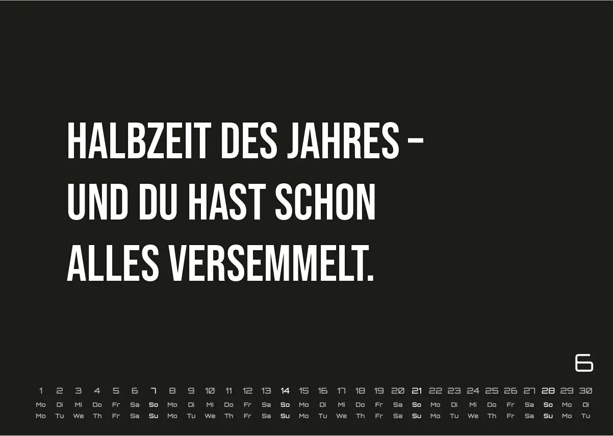 DEMOTIVATION 2026 - dein demotivierender Begleiter - Kalender DIN A3 (ca. 42 cm x 30 cm) | Demotivationskalender