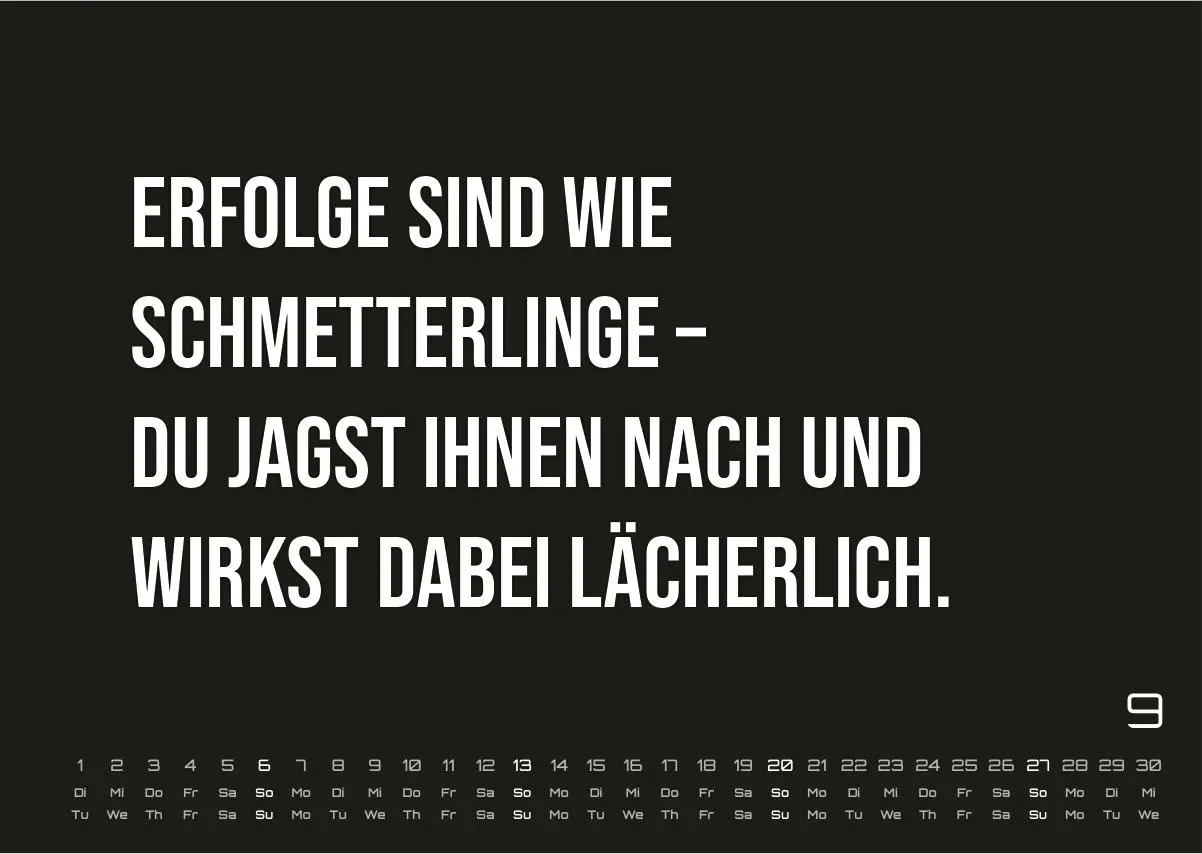 DEMOTIVATION 2026 - dein demotivierender Begleiter - Kalender DIN A3 (ca. 42 cm x 30 cm) | Demotivationskalender