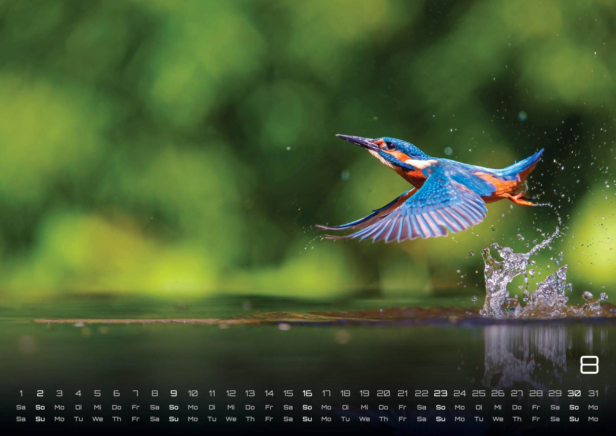 GPF-MOMENTS26_page_9