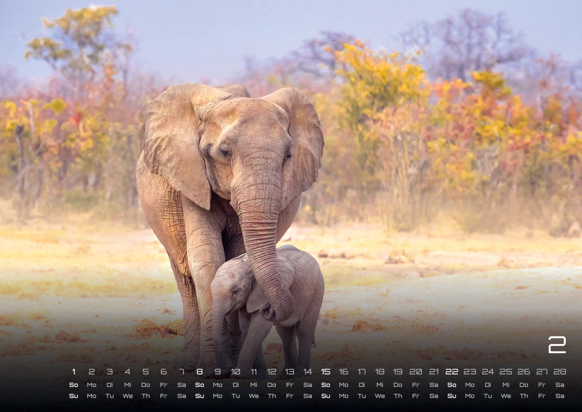 GPF-ELEFANT26_page_3