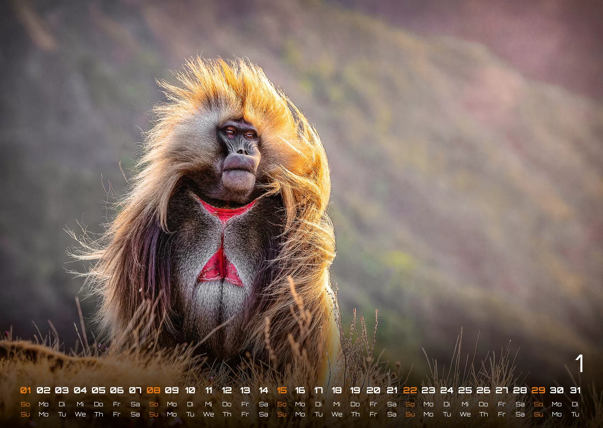 Afrikas Tierwelt - Der Tierkalender - 2023 - Kalender