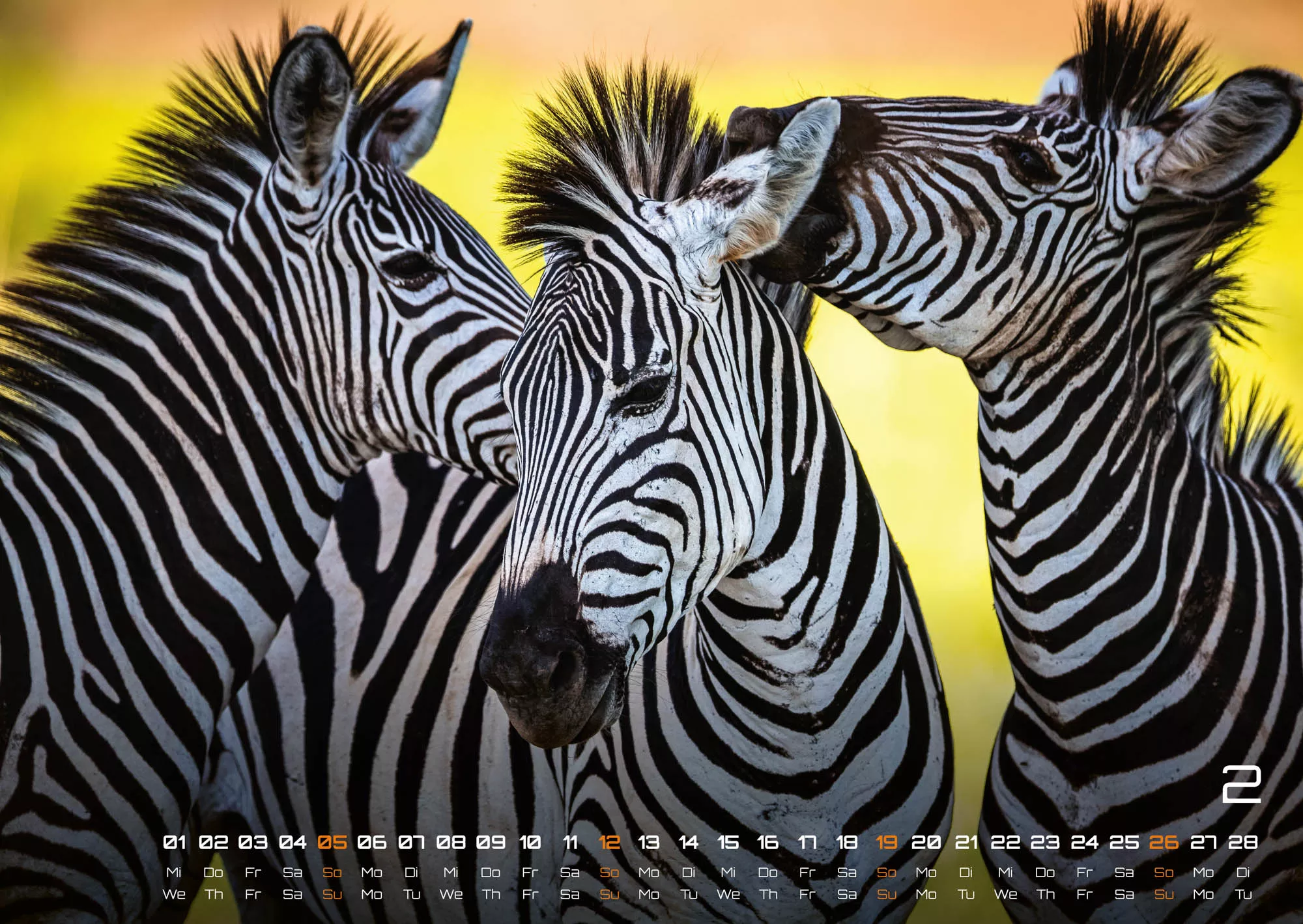 Afrikas Tierwelt - Der Tierkalender - 2023 - Kalender