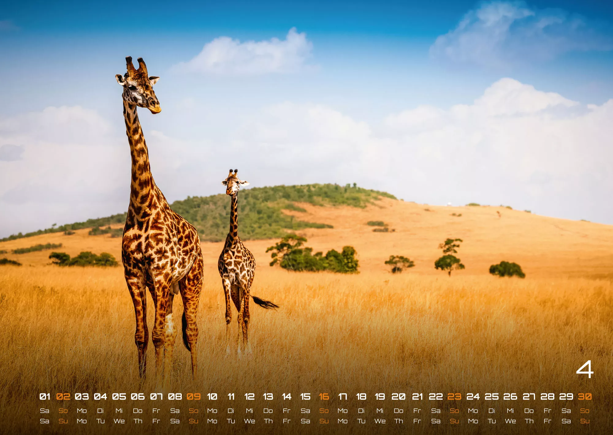 Afrikas Tierwelt - Der Tierkalender - 2023 - Kalender
