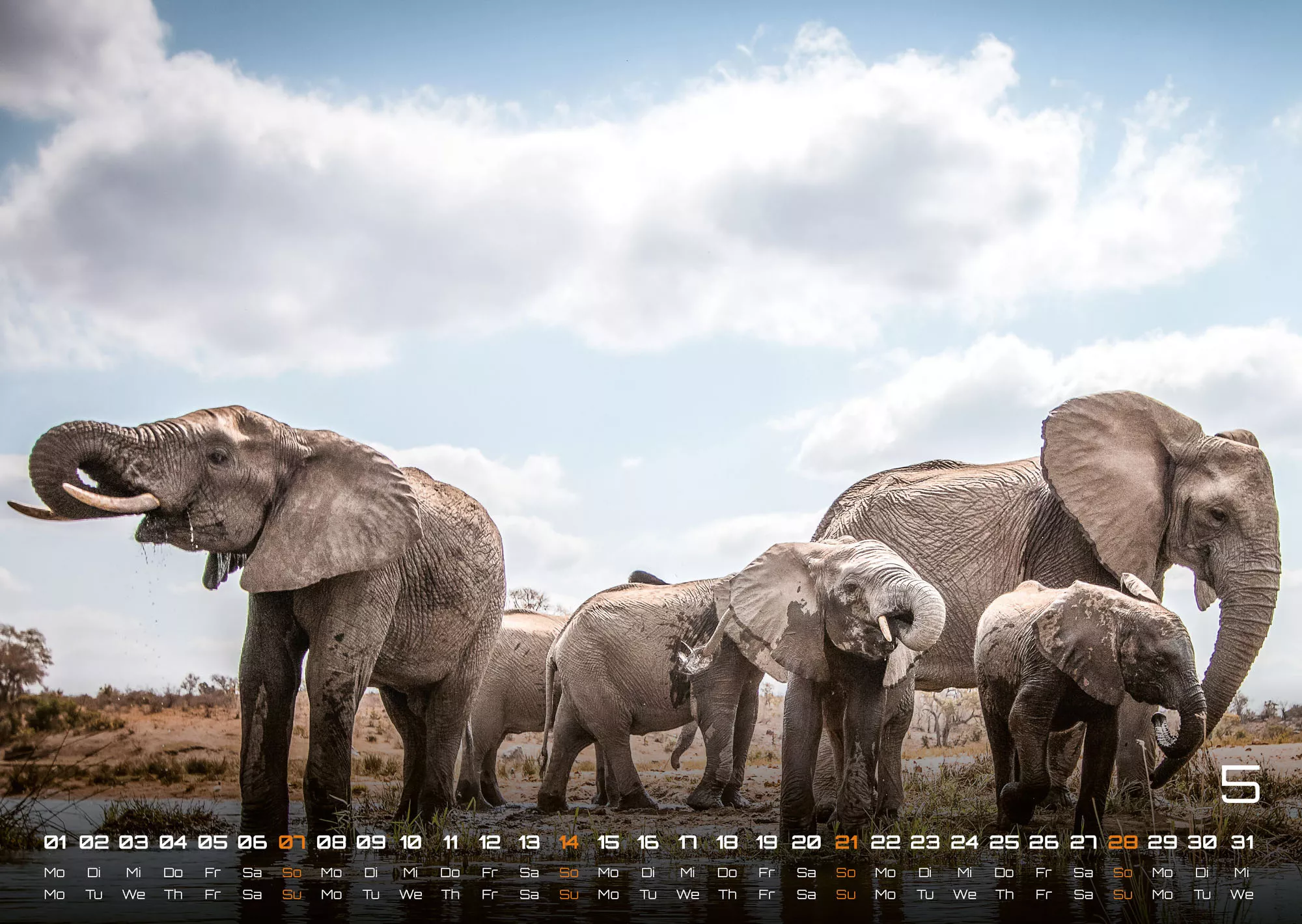 Afrikas Tierwelt - Der Tierkalender - 2023 - Kalender