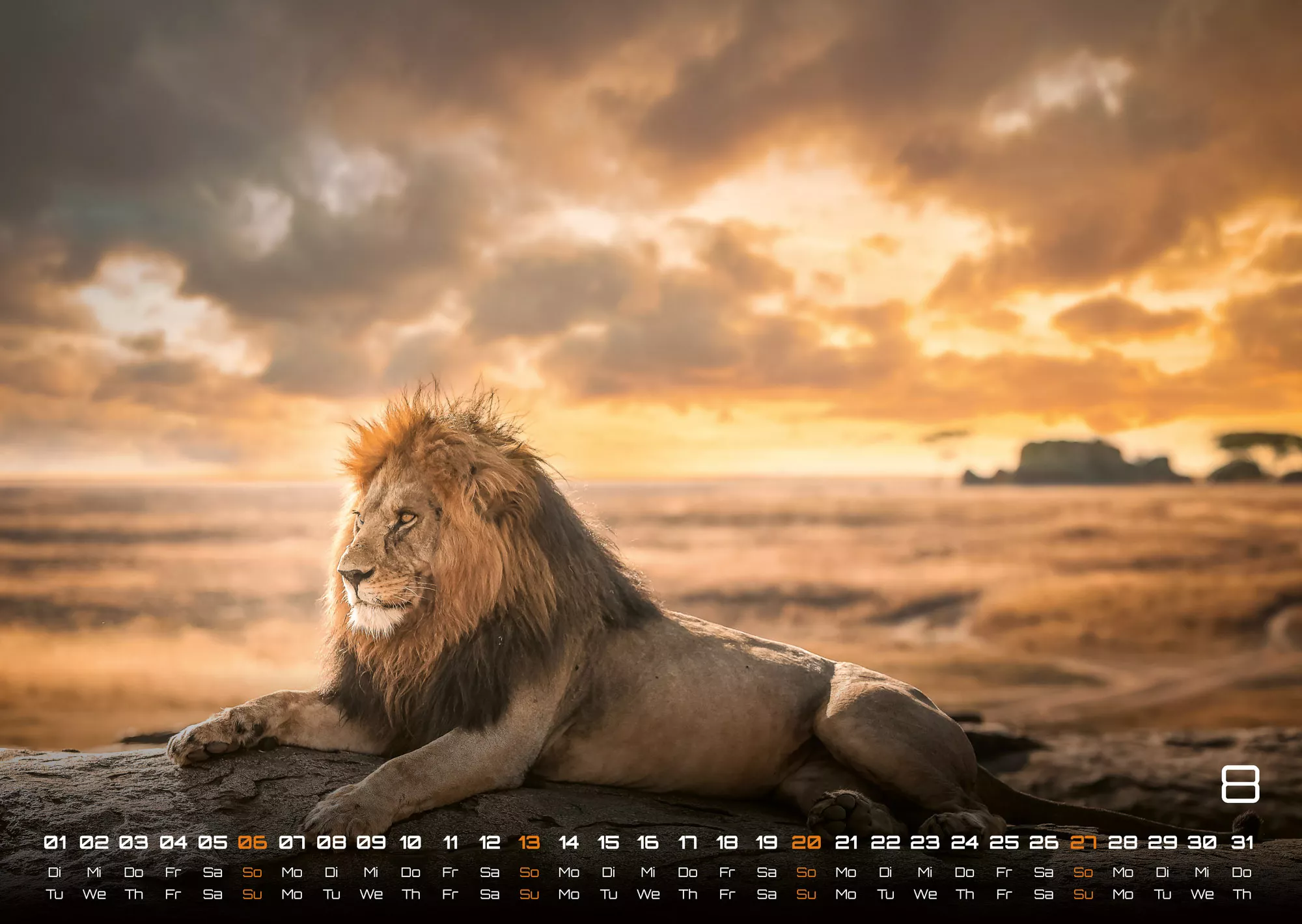 Afrikas Tierwelt - Der Tierkalender - 2023 - Kalender