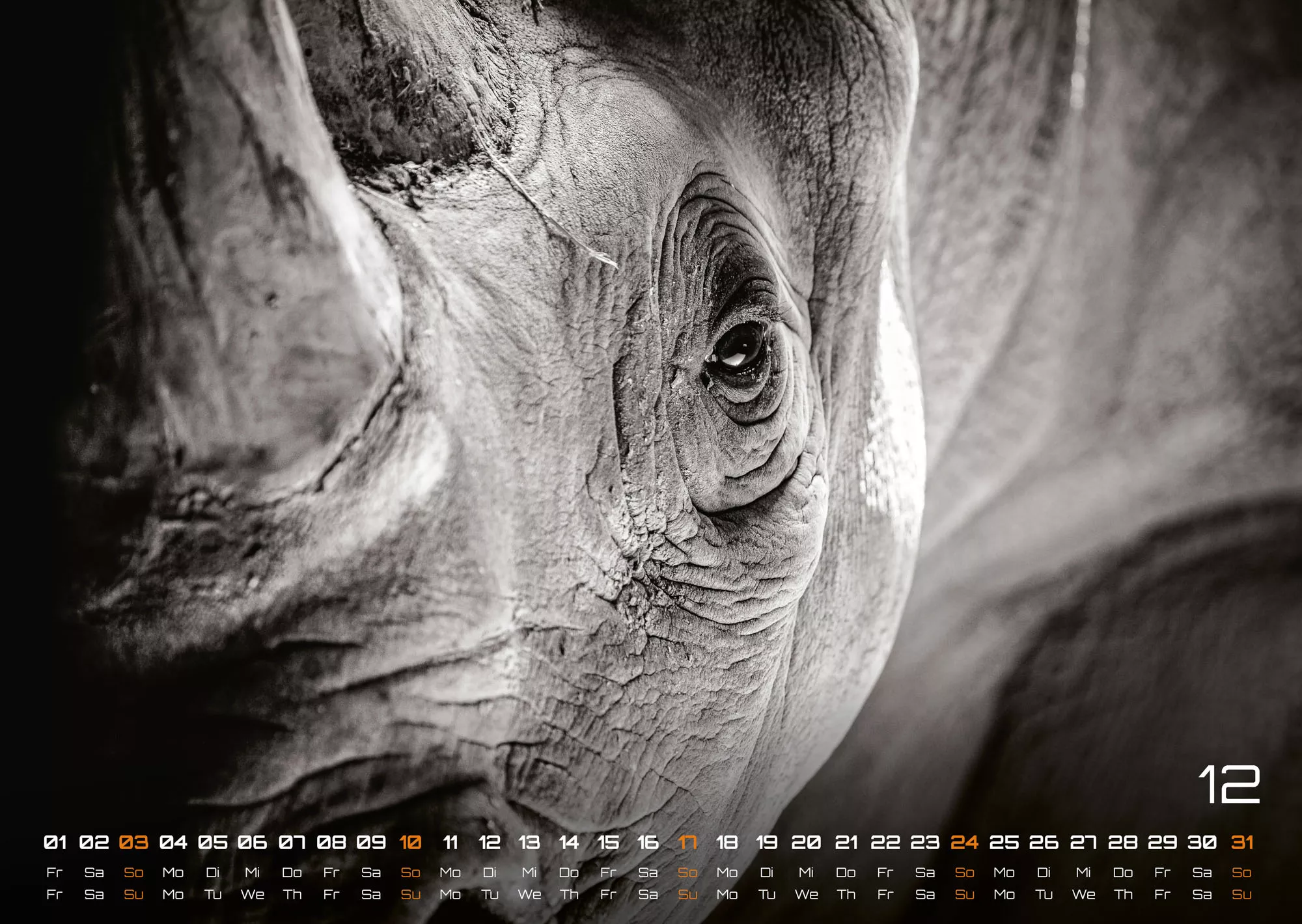 Afrikas Tierwelt - Der Tierkalender - 2023 - Kalender