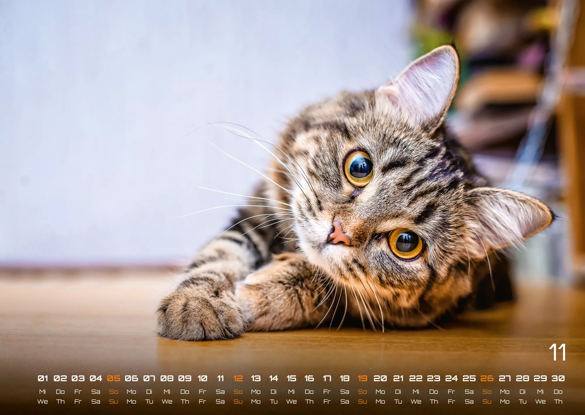 Miau - Unsere Stubentiger - Der Katzenkalender - 2023 - Kalender