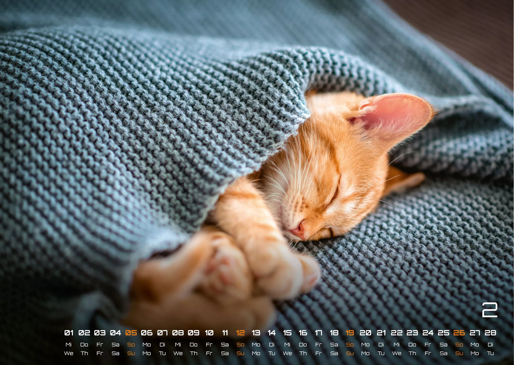 Miau Kids - kleine Tiger ganz groß - Der Katzenkalender - 2023 - Kalender