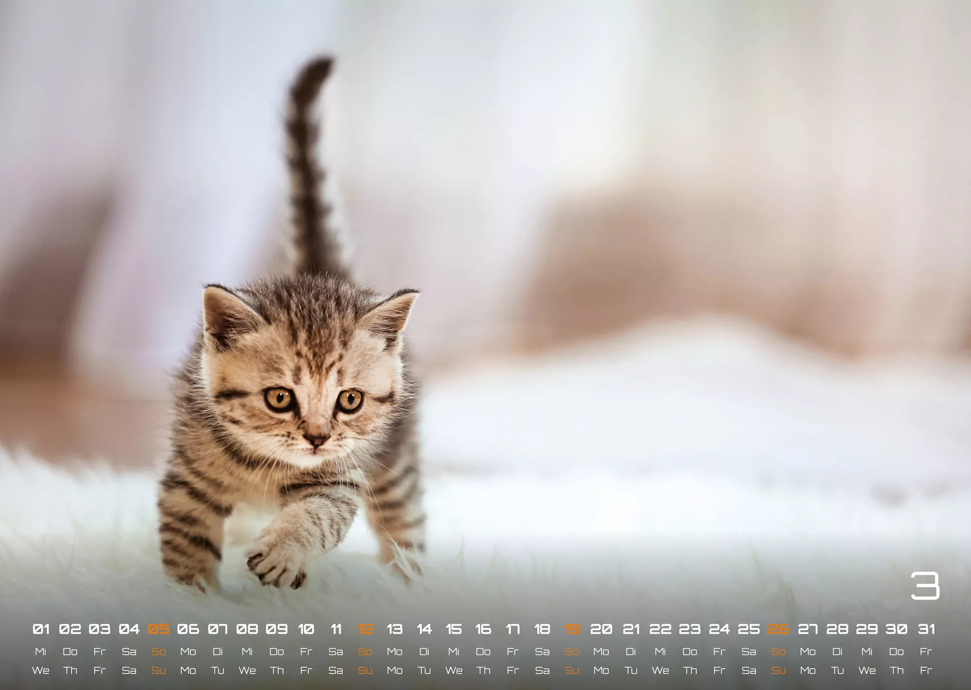 Miau Kids - kleine Tiger ganz groß - Der Katzenkalender - 2023 - Kalender