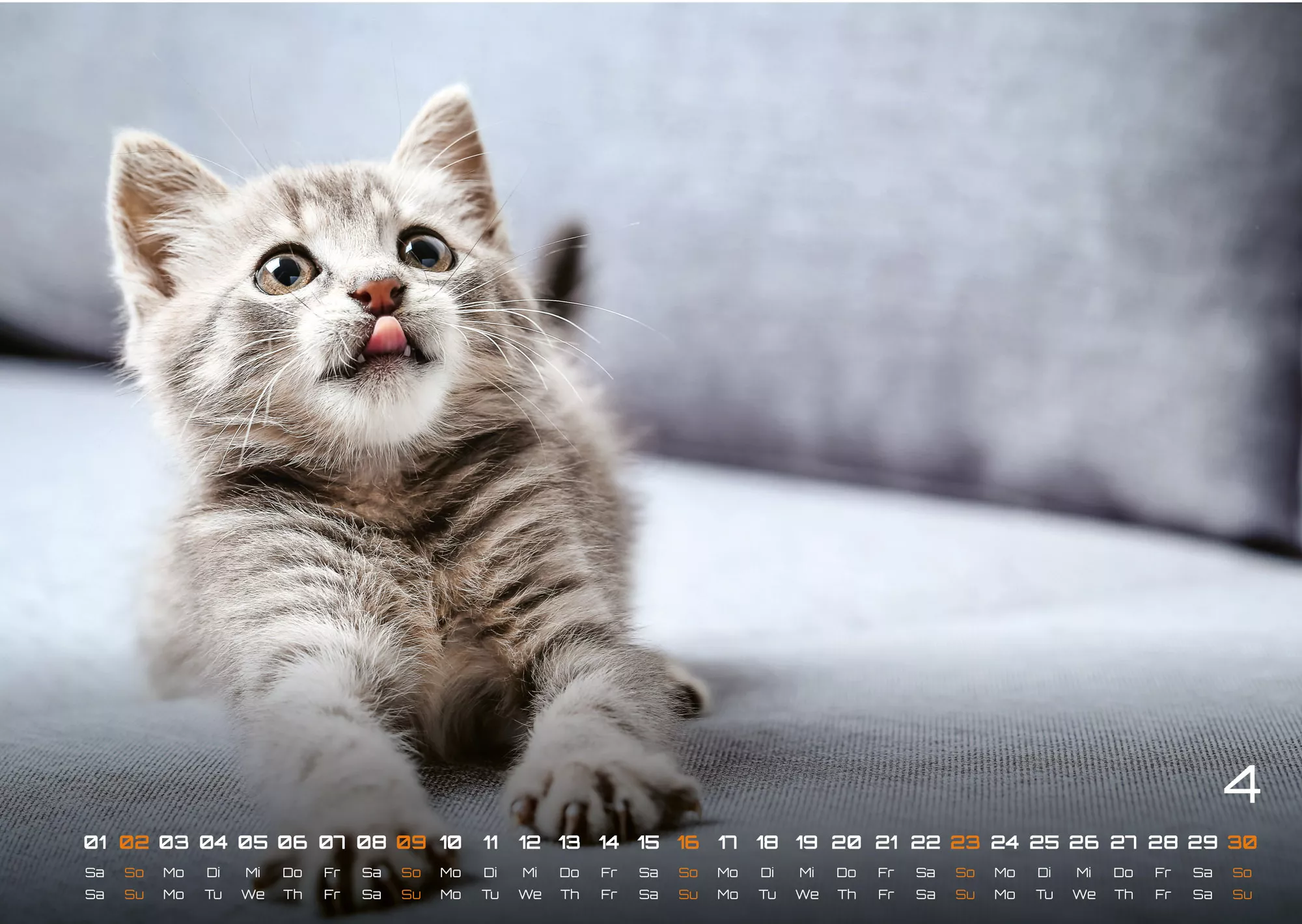 Miau Kids - kleine Tiger ganz groß - Der Katzenkalender - 2023 - Kalender