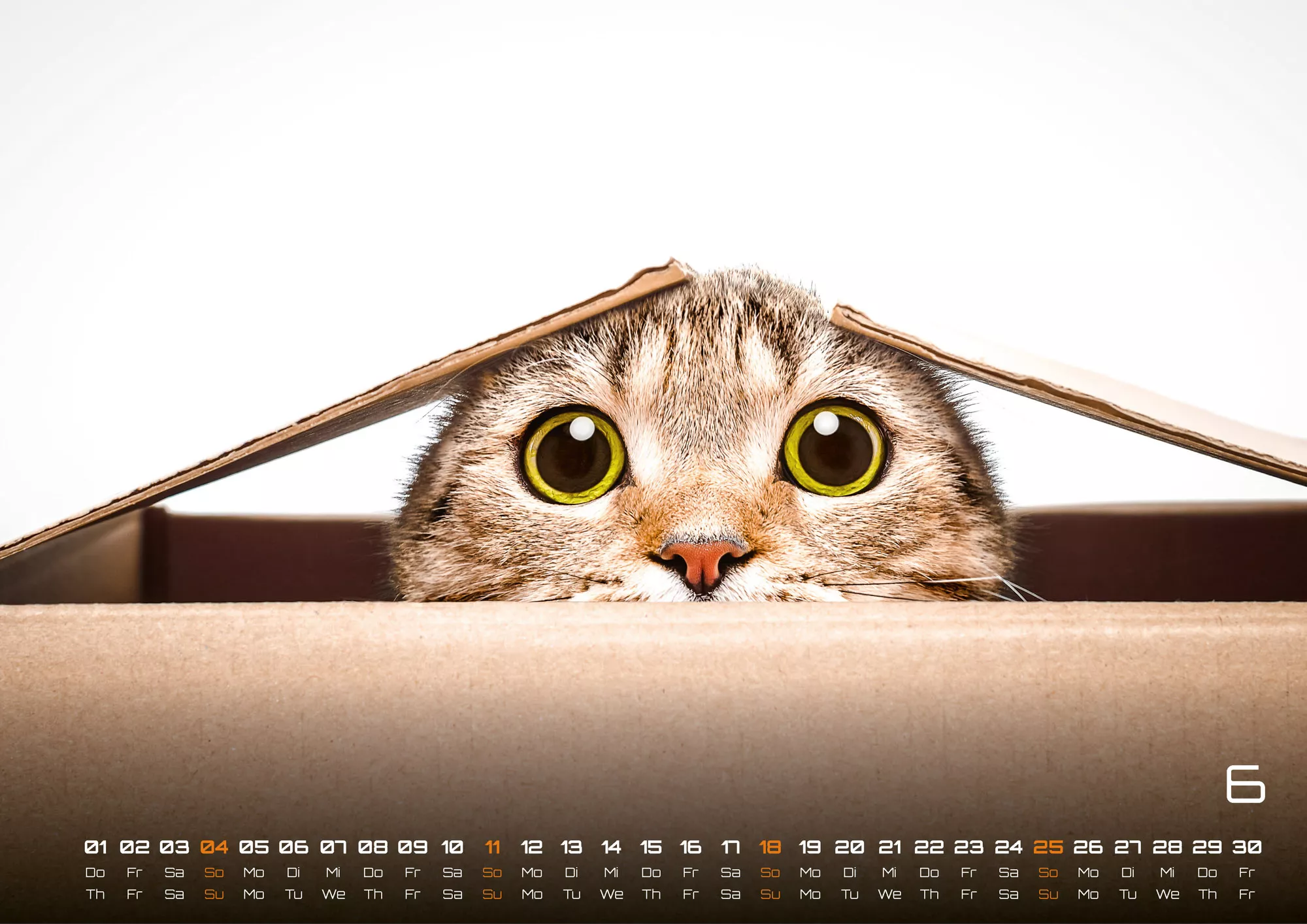 Miau Kids - kleine Tiger ganz groß - Der Katzenkalender - 2023 - Kalender