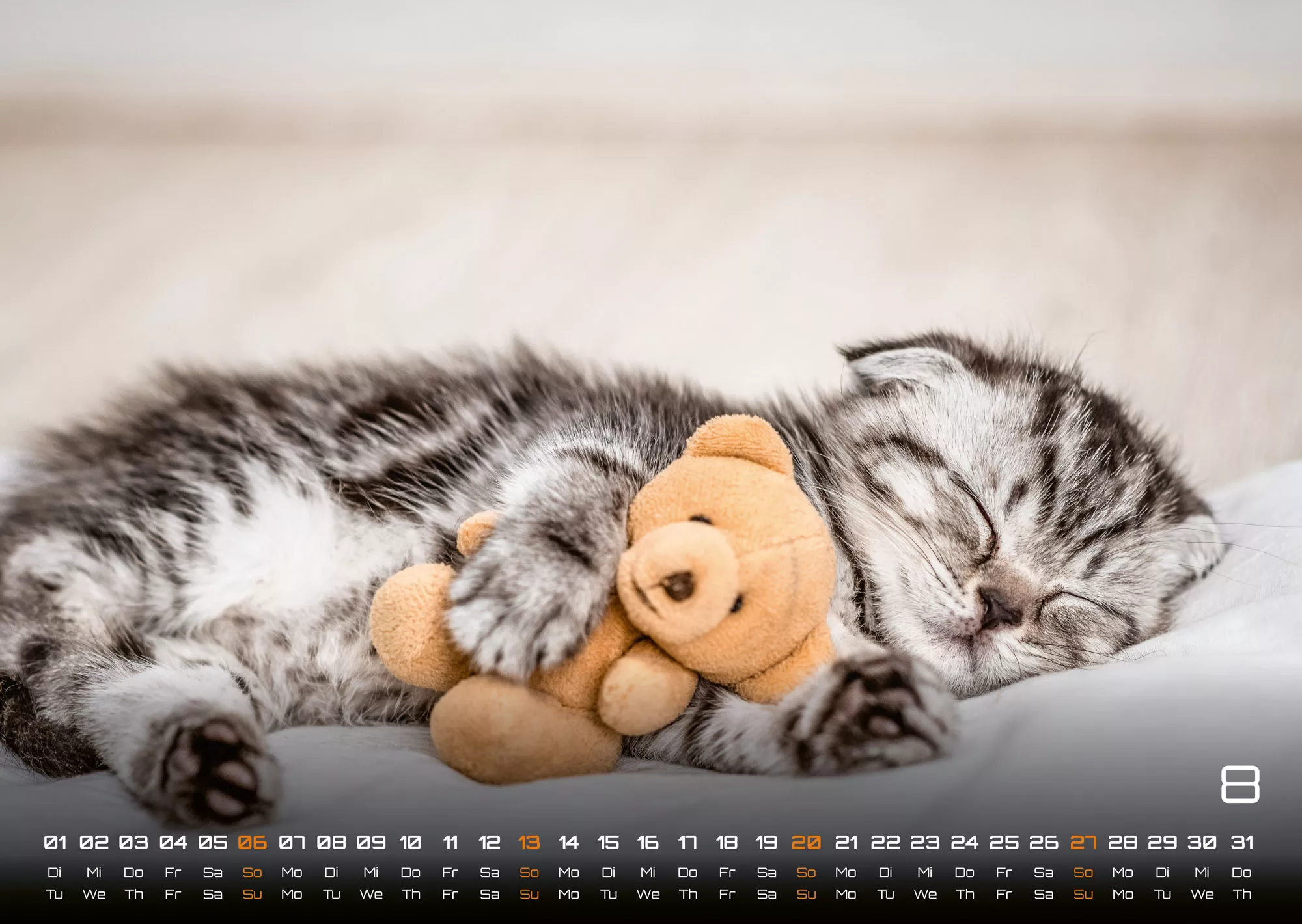 Miau Kids - kleine Tiger ganz groß - Der Katzenkalender - 2023 - Kalender