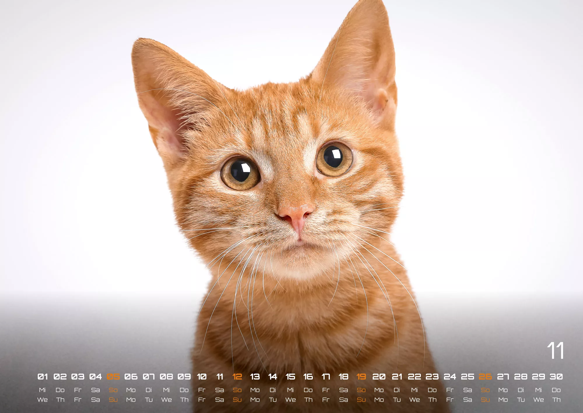 Miau Kids - kleine Tiger ganz groß - Der Katzenkalender - 2023 - Kalender
