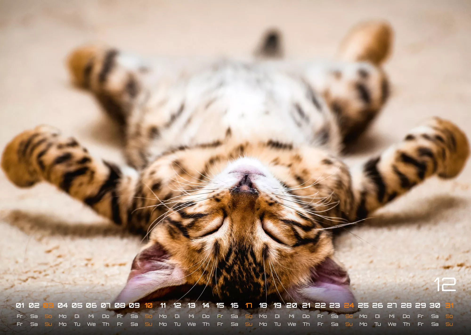 Miau Kids - kleine Tiger ganz groß - Der Katzenkalender - 2023 - Kalender