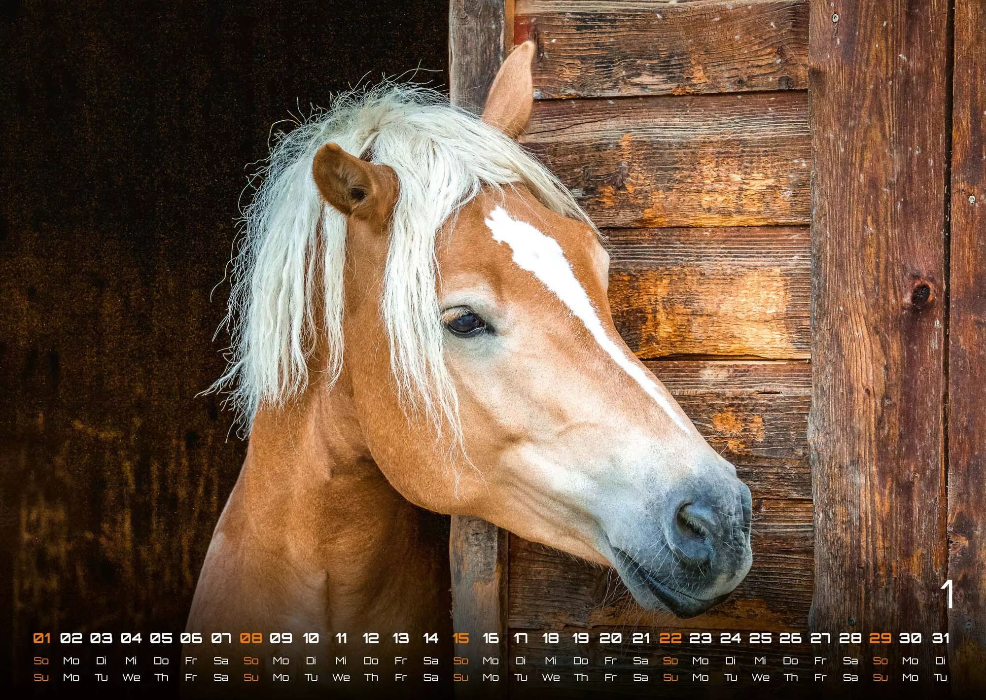 Pferdegeflüster - Der Pferdekalender - 2023 - Kalender