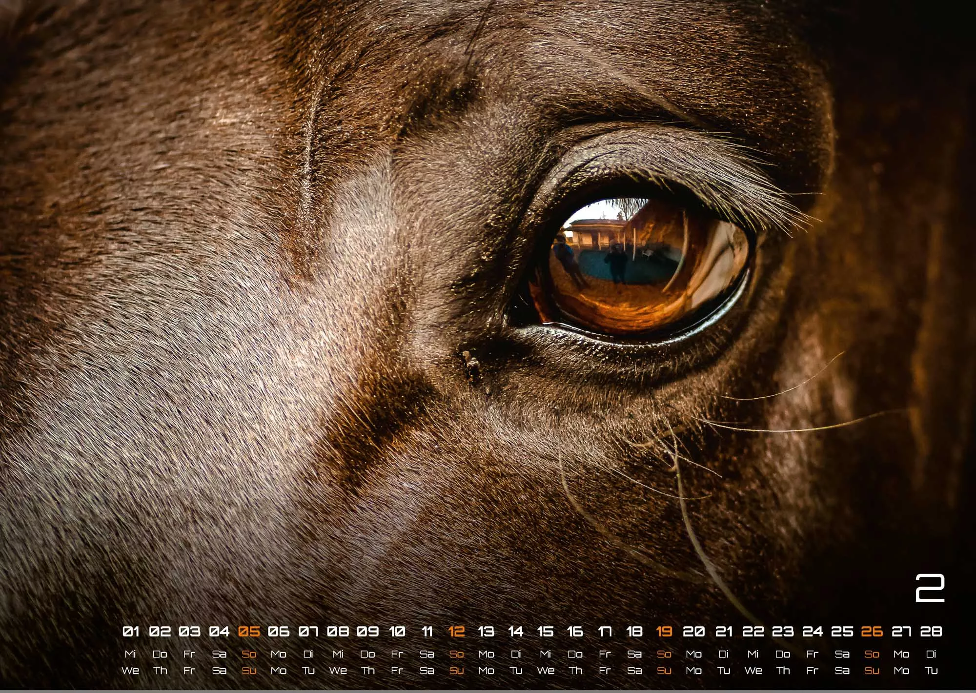 Pferdegeflüster - Der Pferdekalender - 2023 - Kalender