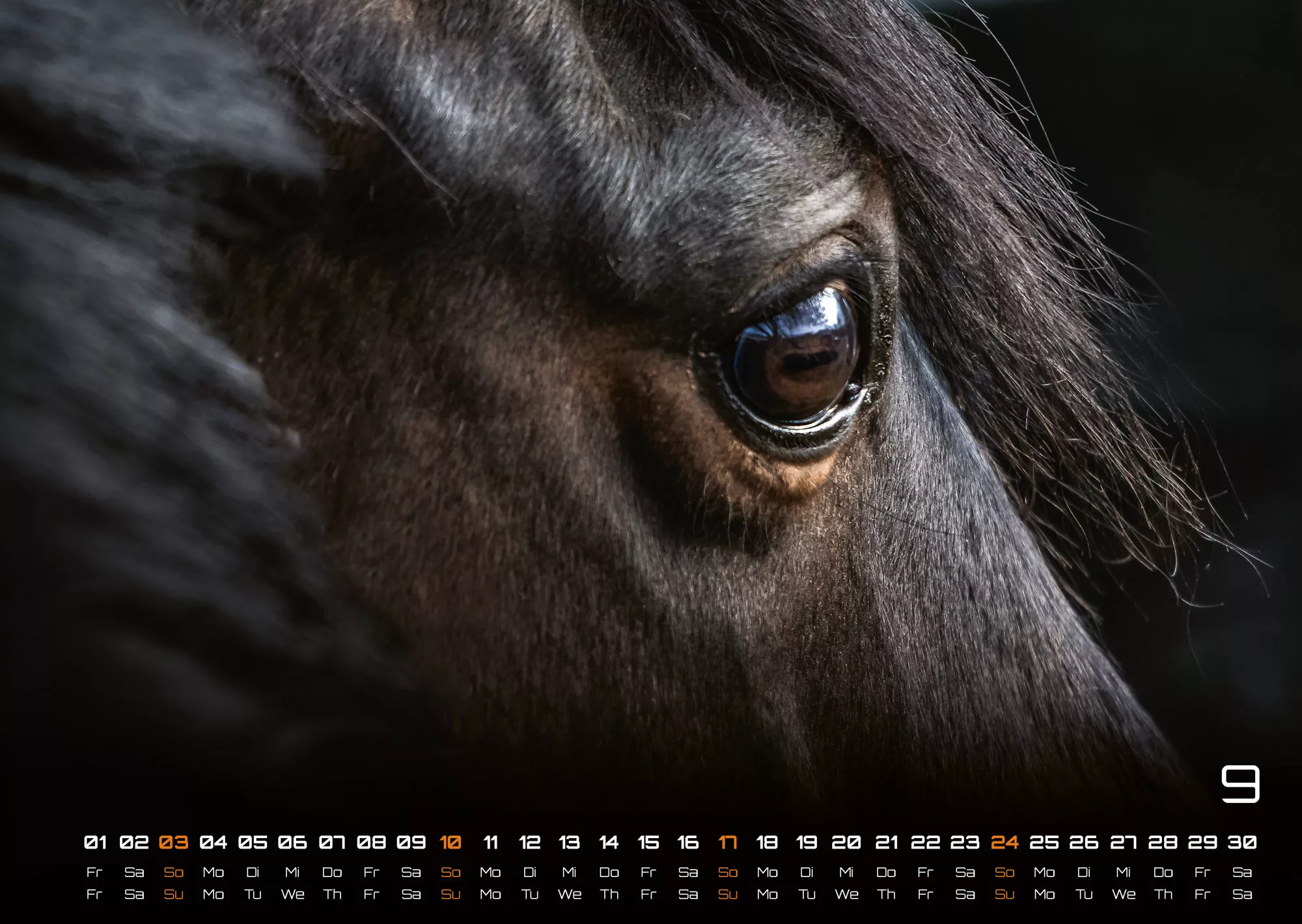 Pferdegeflüster - Der Pferdekalender - 2023 - Kalender