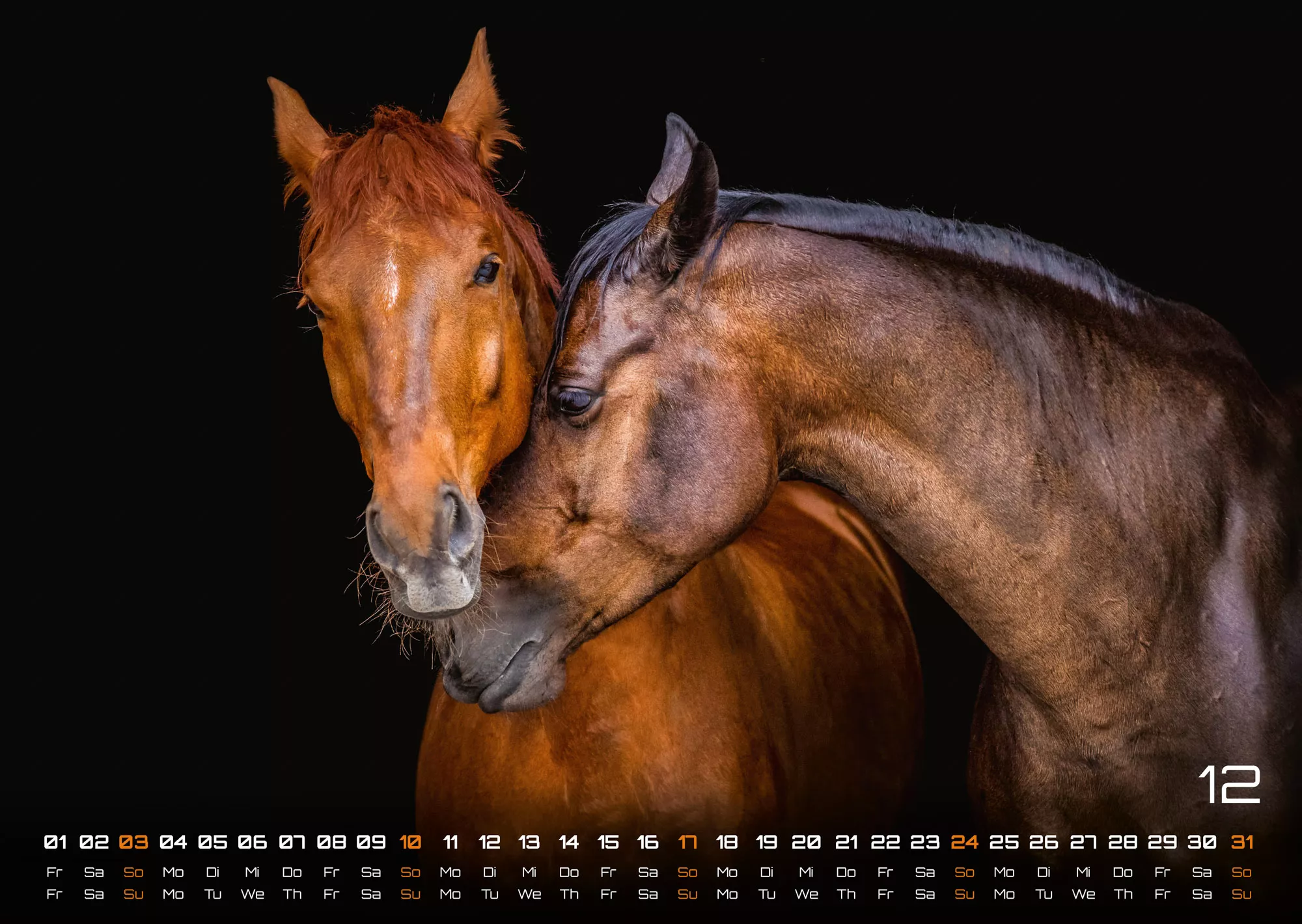 Pferdegeflüster - Der Pferdekalender - 2023 - Kalender