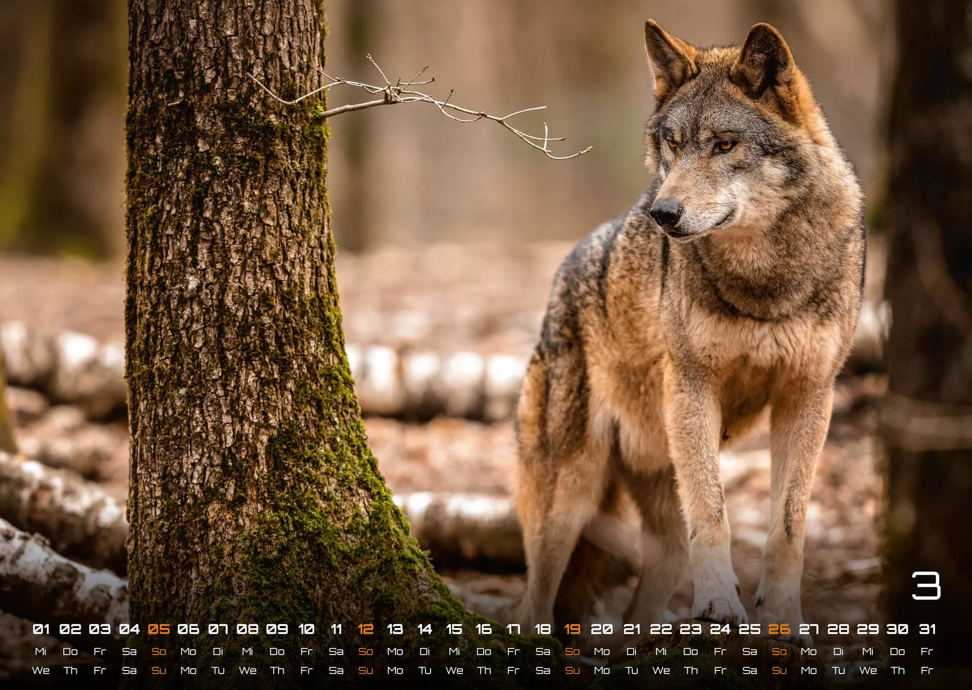 Waldtiere - Heimische Waldbewohner - Der Tierkalender - 2023 - Kalender