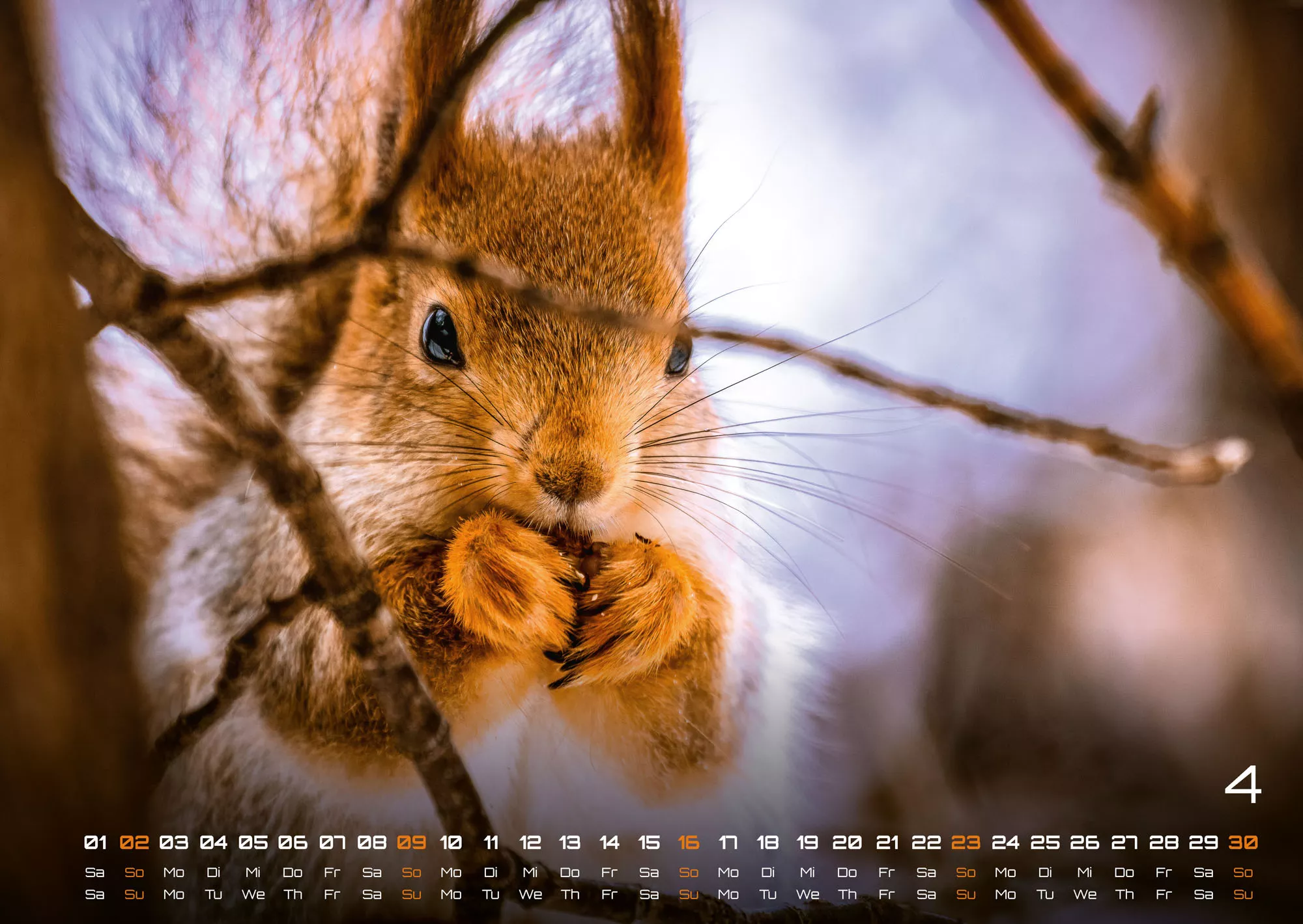 Waldtiere - Heimische Waldbewohner - Der Tierkalender - 2023 - Kalender