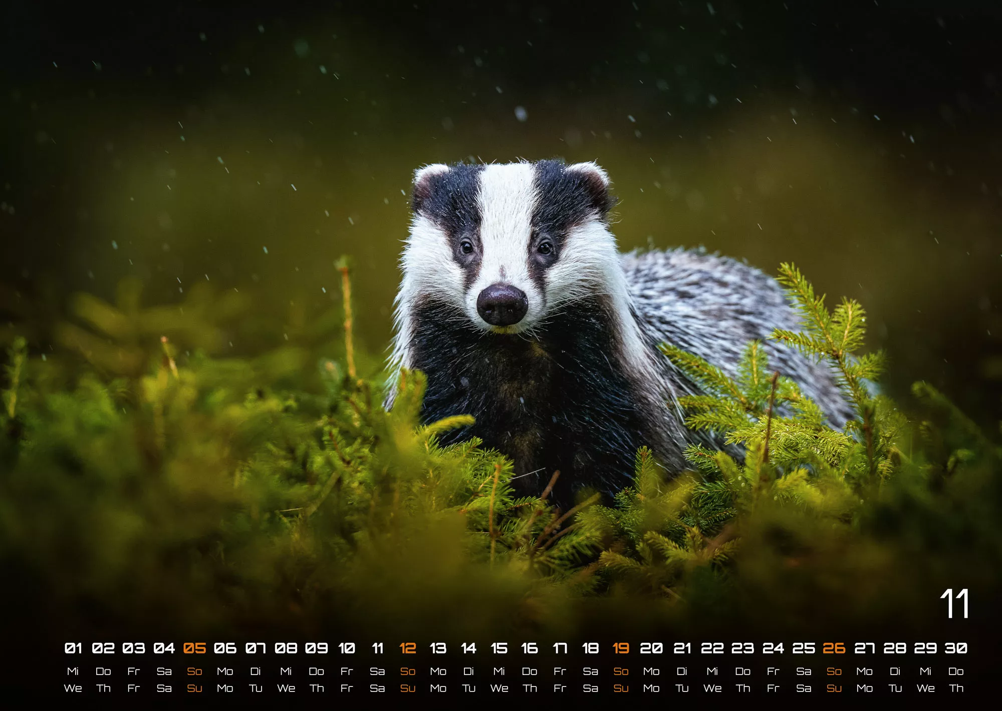 Waldtiere - Heimische Waldbewohner - Der Tierkalender - 2023 - Kalender