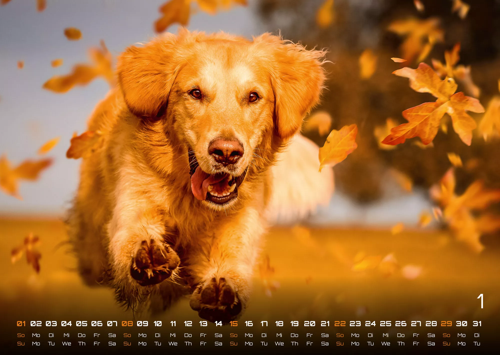 Wuff - Unsere Vierbeiner - Der Hundekalender- 2023 - Kalender