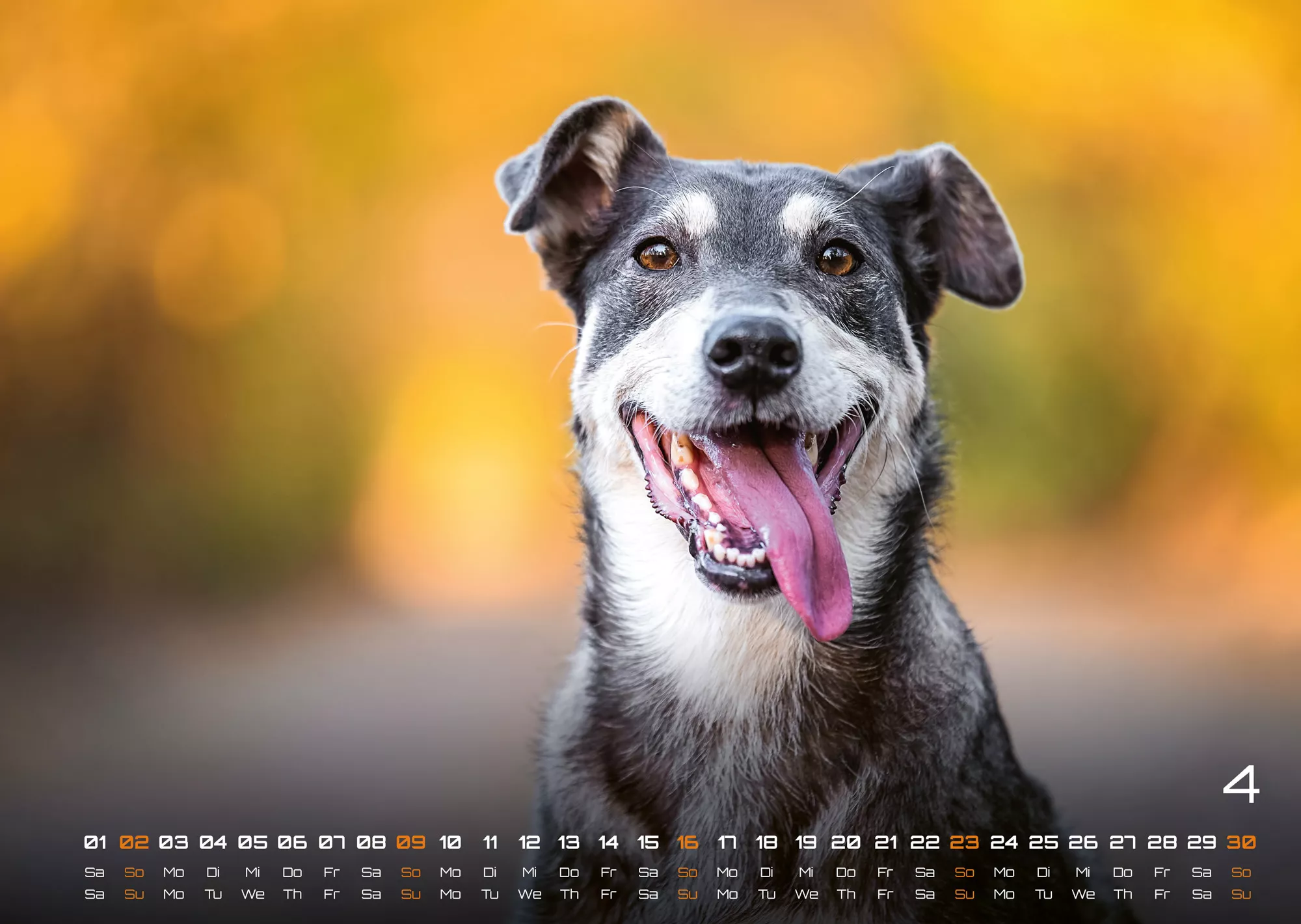 Wuff - Unsere Vierbeiner - Der Hundekalender- 2023 - Kalender
