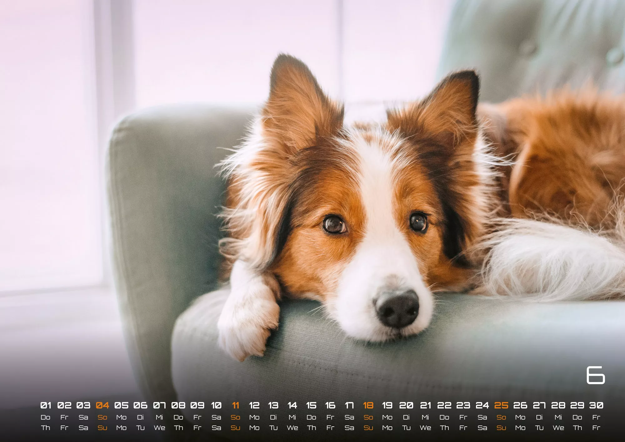 Wuff - Unsere Vierbeiner - Der Hundekalender- 2023 - Kalender