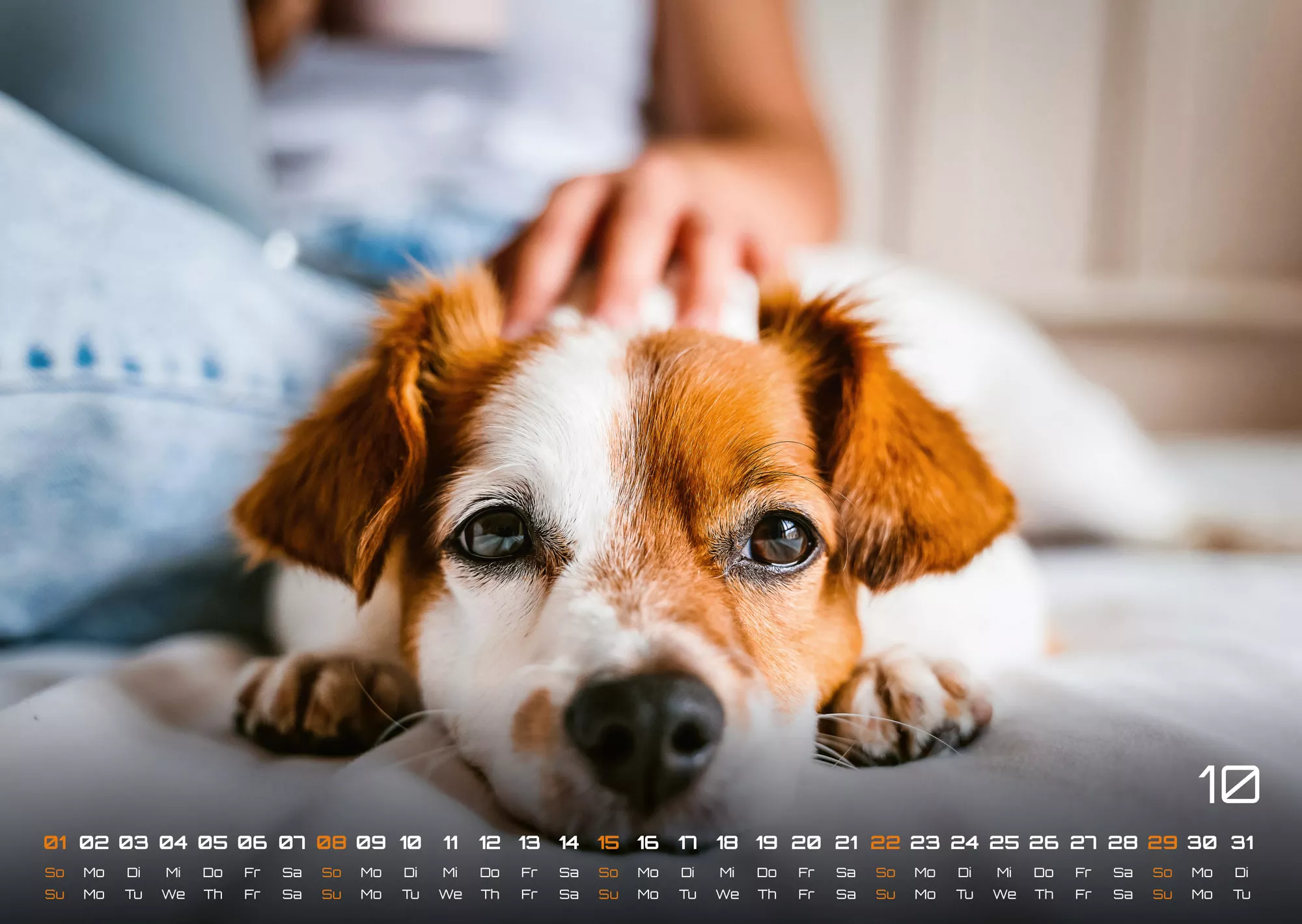 Wuff - Unsere Vierbeiner - Der Hundekalender- 2023 - Kalender