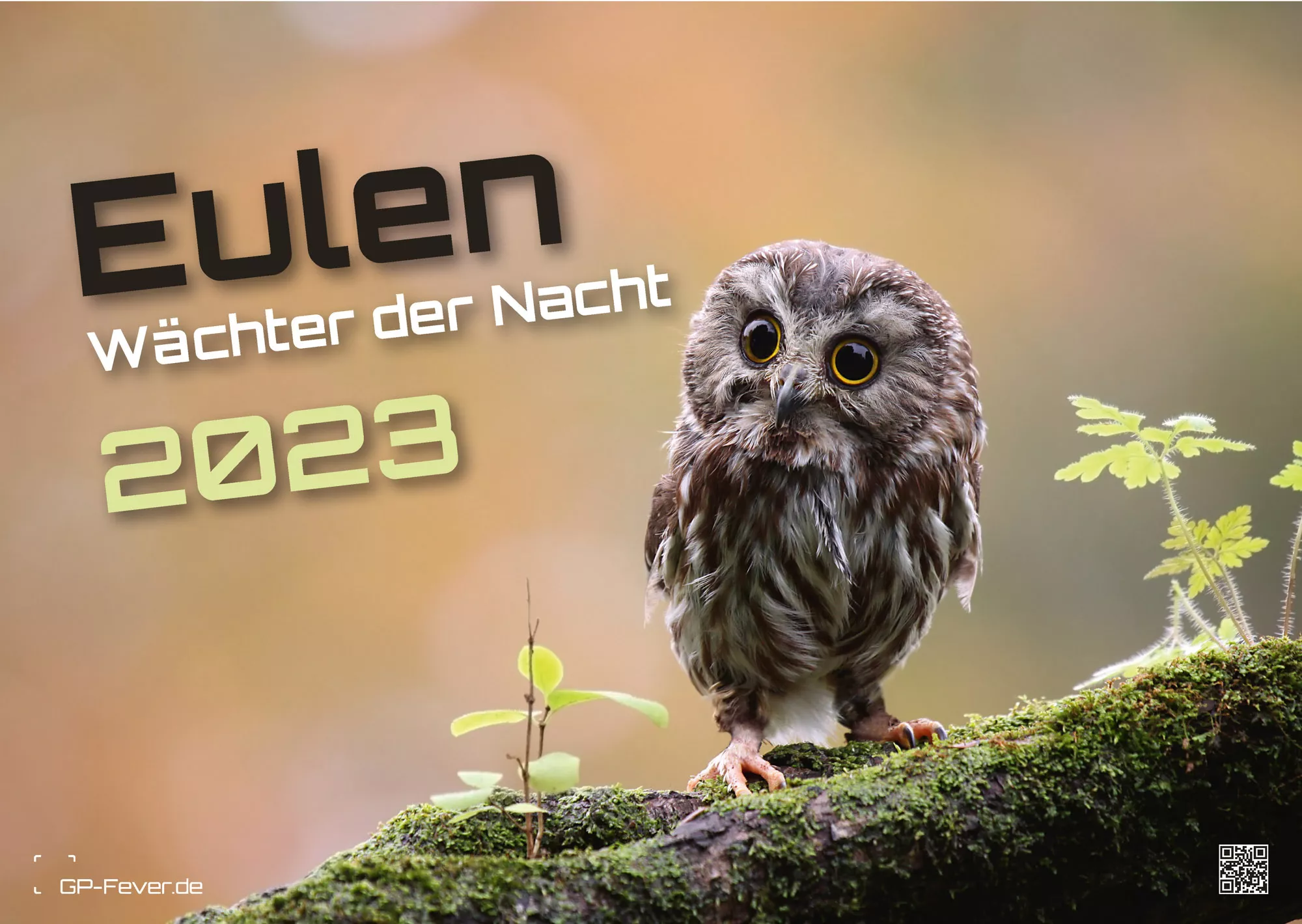 Eulen - Wächter der Nacht - 2023 - Kalender