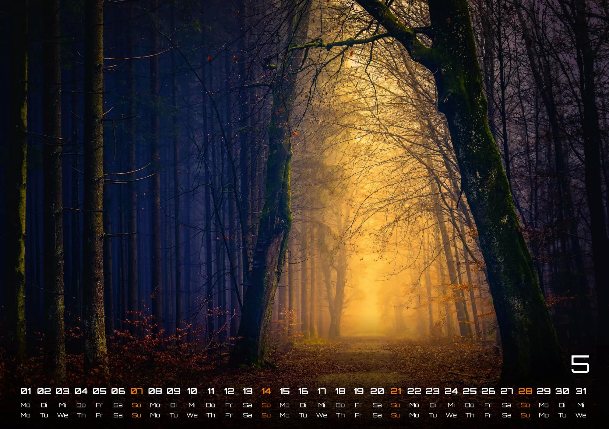 Wald - Erholung für Mensch und Tier - 2023 - Kalender