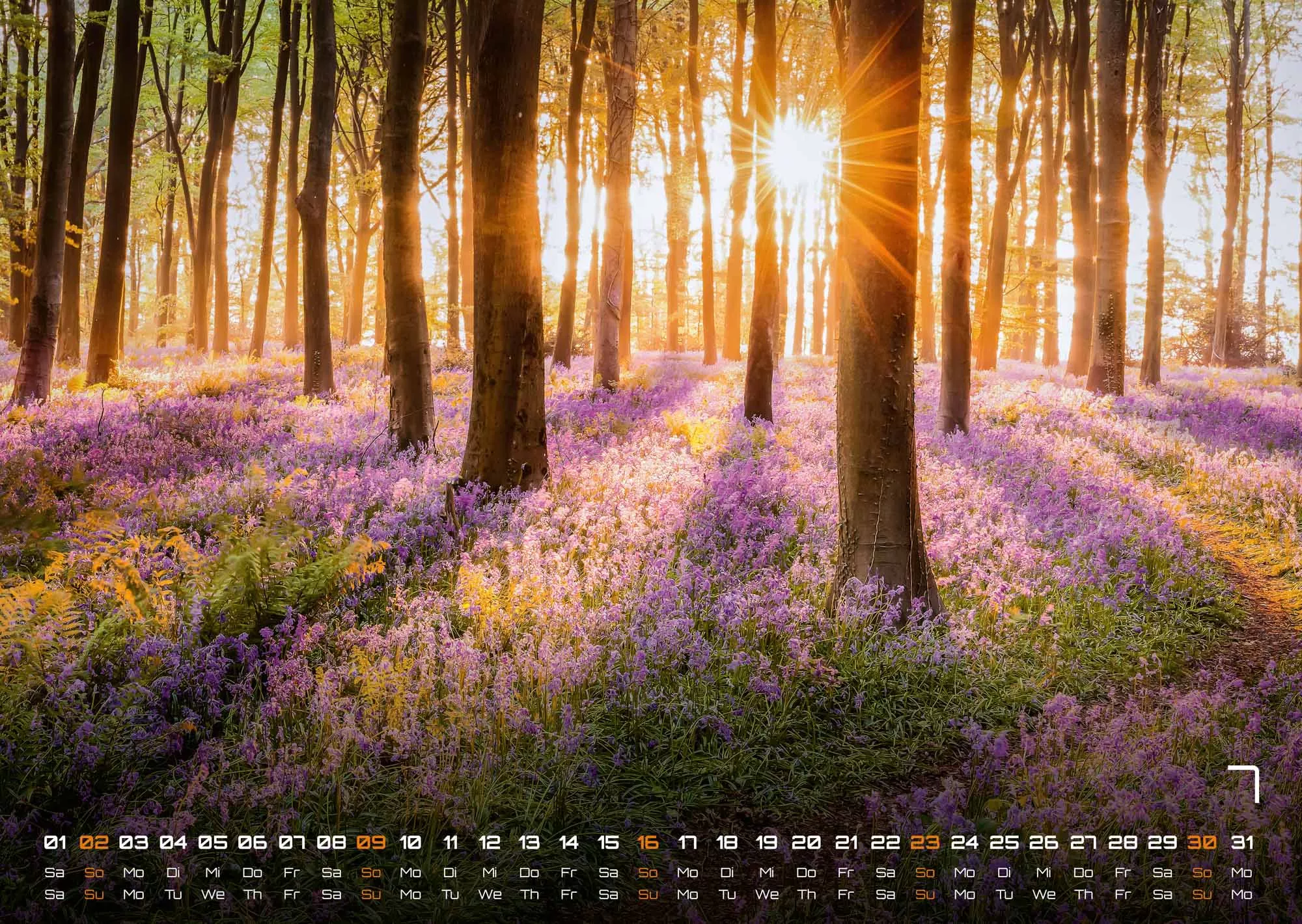 Wald - Erholung für Mensch und Tier - 2023 - Kalender