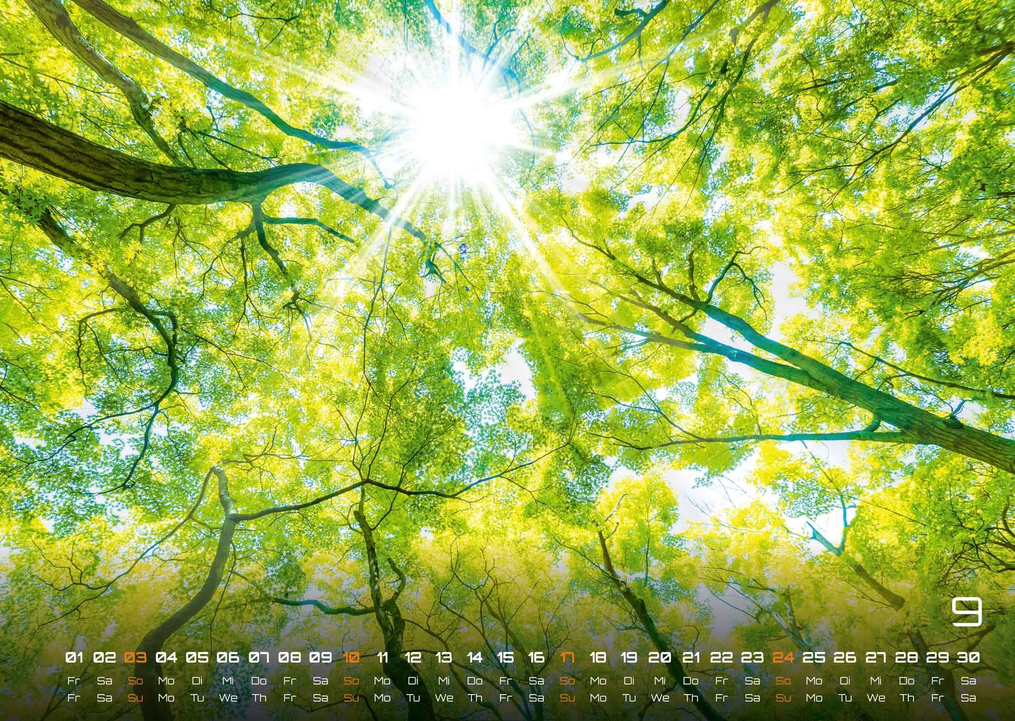 Wald - Erholung für Mensch und Tier - 2023 - Kalender
