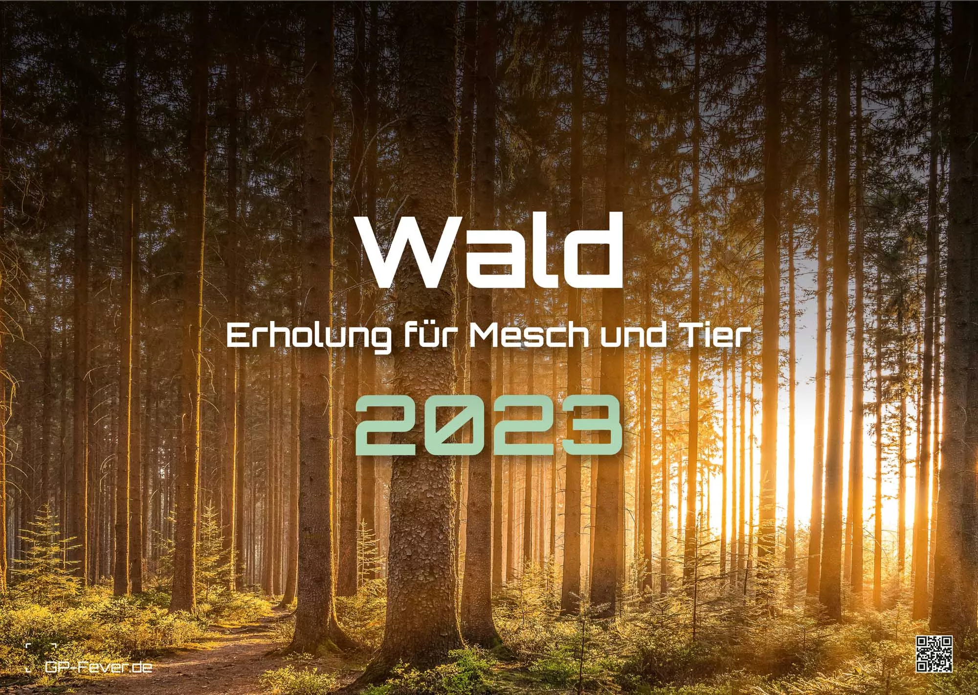 Wald - Erholung für Mensch und Tier - 2023 - Kalender