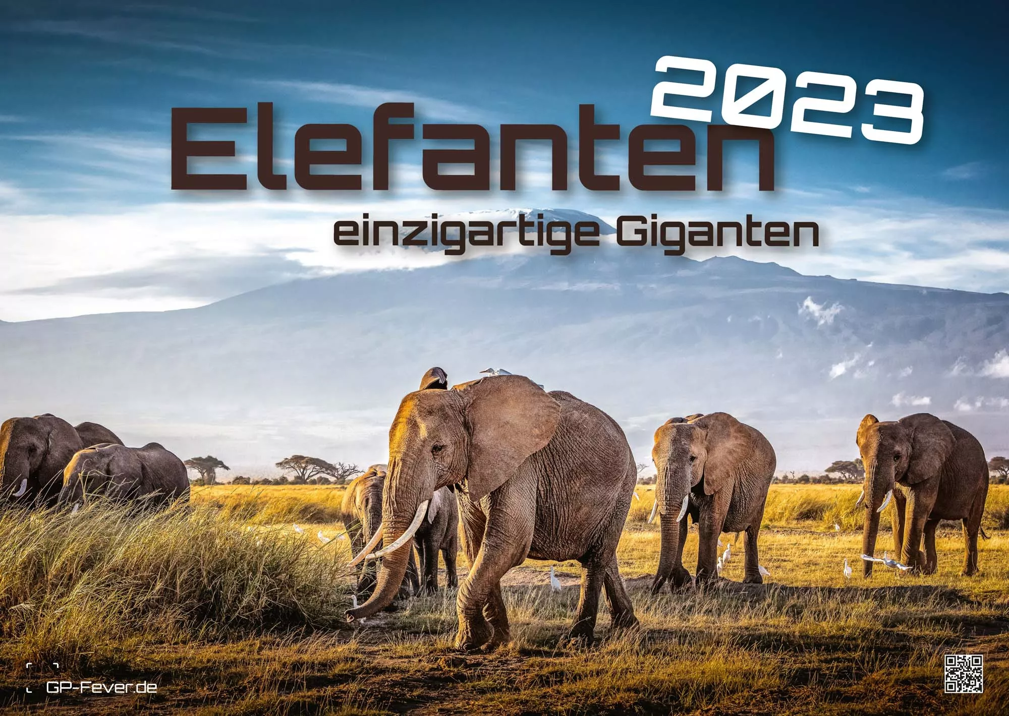Elefanten - einzigartige Giganten - 2023 - Kalender