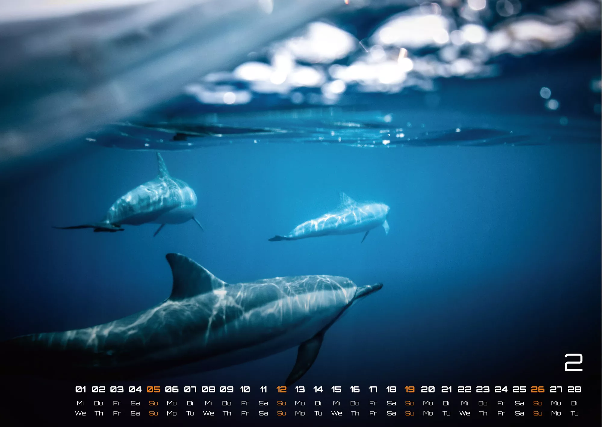 Sealife - verborgene Tiefen - 2023 - Kalender
