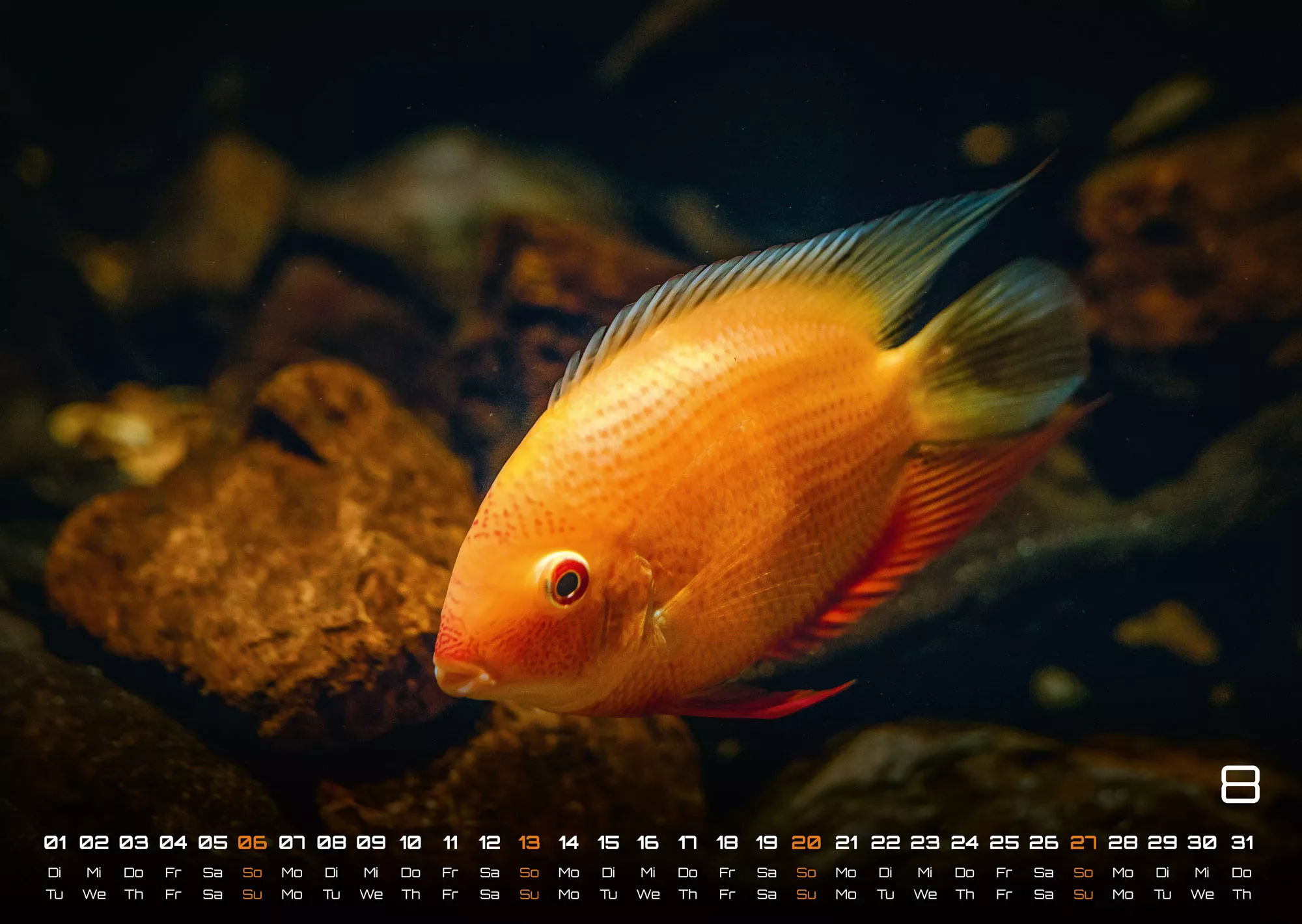 Sealife - verborgene Tiefen - 2023 - Kalender