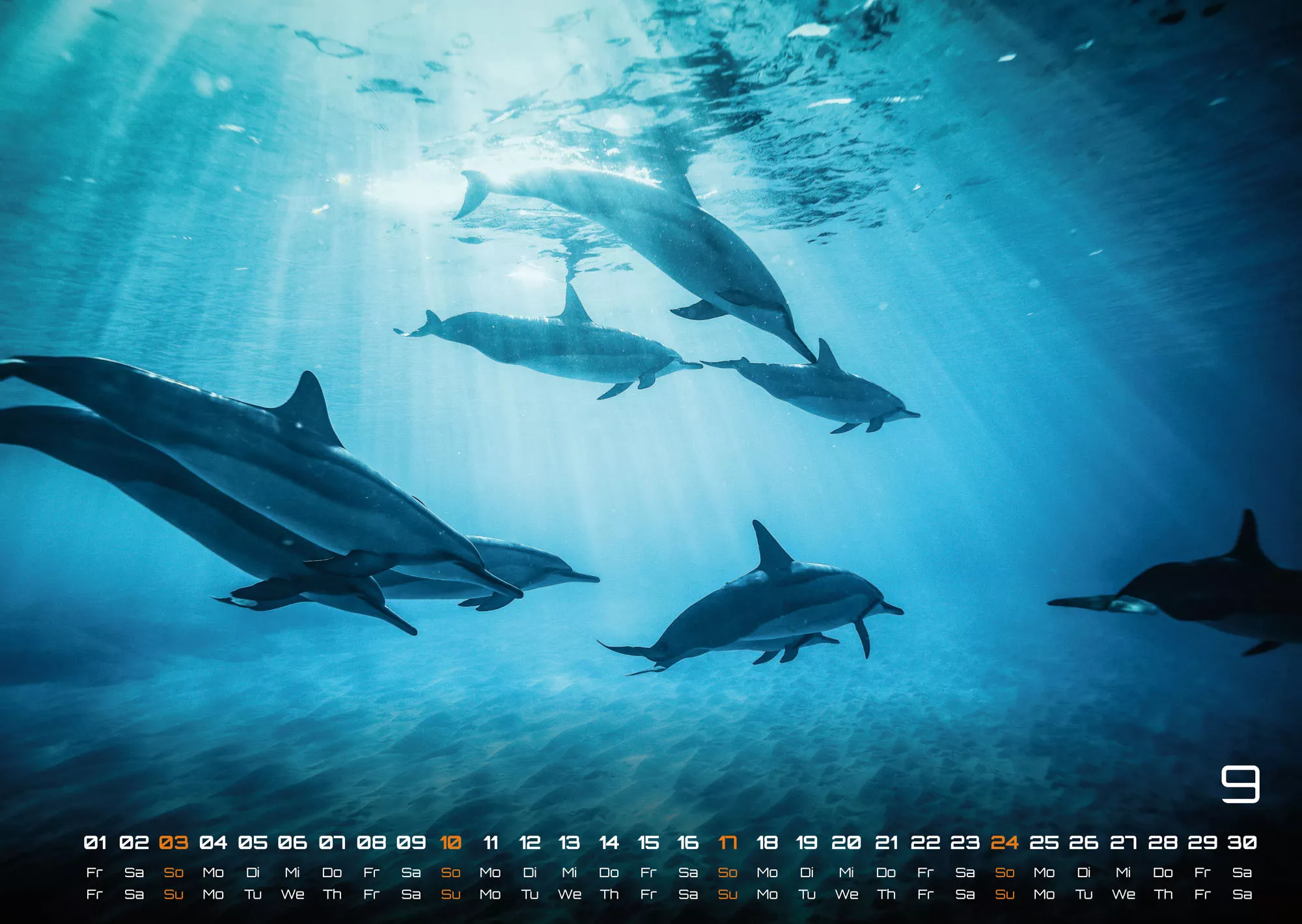 Sealife - verborgene Tiefen - 2023 - Kalender